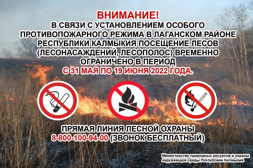 В Лаганском районе с 31 мая по 19 июня 2022год в связи управлением особого противопожарного режима введено ограничение на пребывание граждан в лесах и въездах в них транспортных средств.